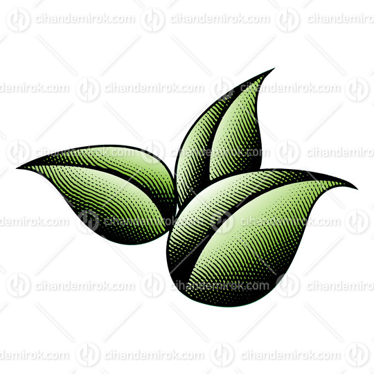 3 Scratchboard Engraved Green Leaves