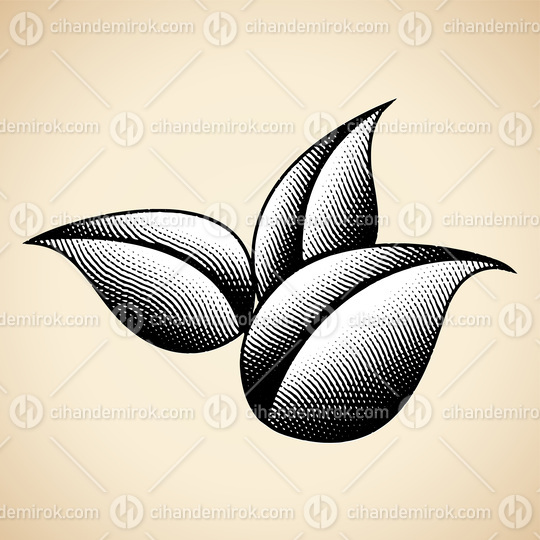 3 Scratchboard Engraved Leaves on a Beige Background