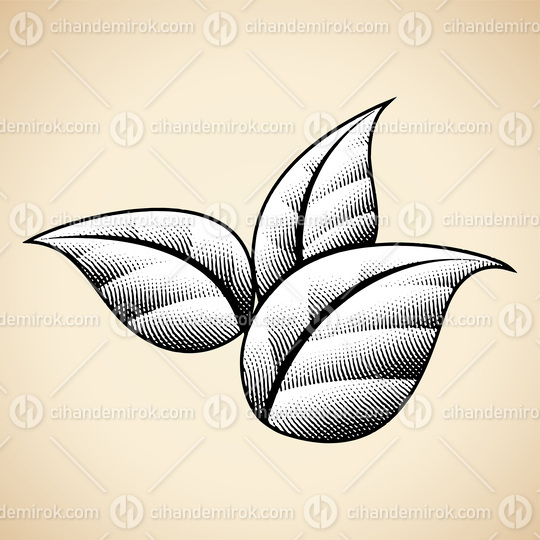 3 Scratchboard Engraved Leaves with Black Outlines and White Fill
