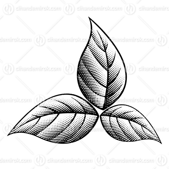 3 Scratchboard Engraved Tobacco Leaves