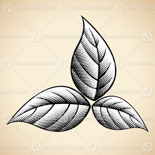 3 Scratchboard Engraved Tobacco Leaves on a Beige Background
