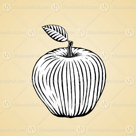 Apple, Black and White Scratchboard Engraved Vector