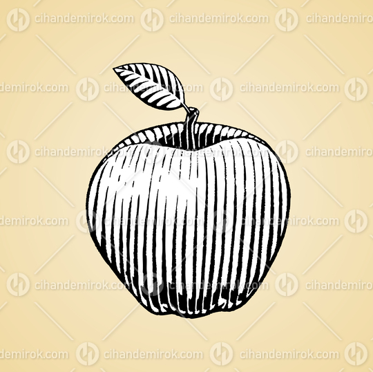 Apple Drawing, Black and White Scratchboard Engraved Vector