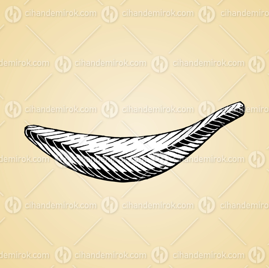 Banana, Black and White Scratchboard Engraved Vector