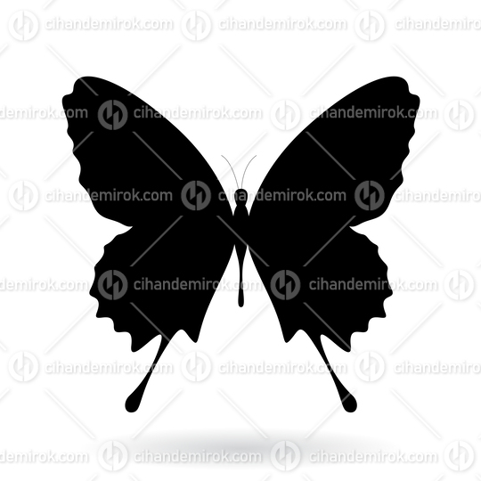 Black Butterfly Silhouette Illustration