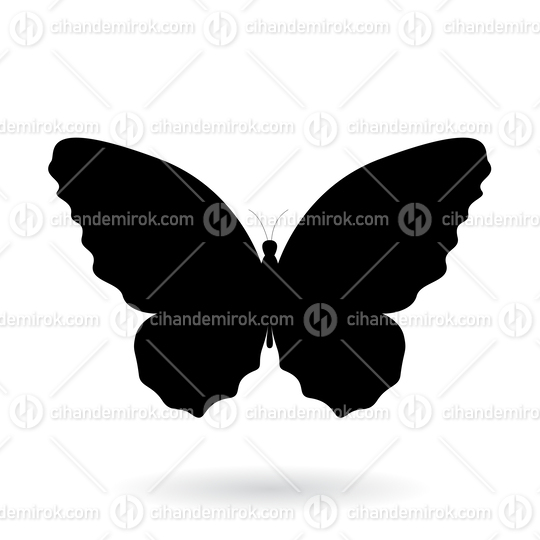 Black Butterfly Silhouette Illustration with Round Wings