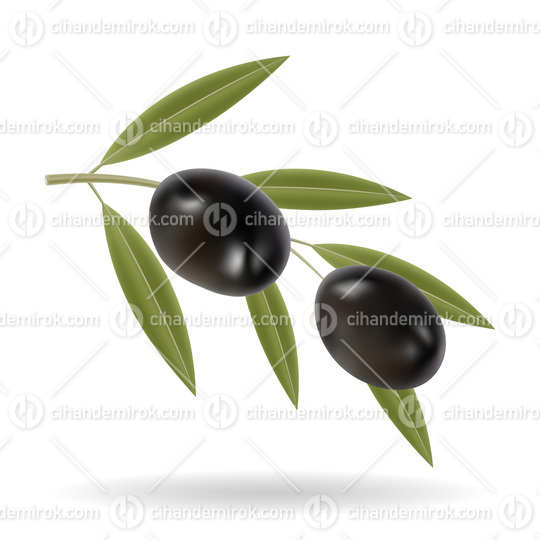 Black Olives and Green Leaves Illustration