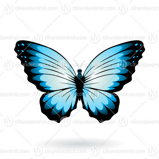 Blue and Black Butterfly Illustration with Round Wings