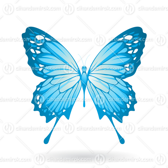 Blue Butterfly Illustration