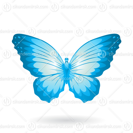 Blue Butterfly Illustration with Round Wings