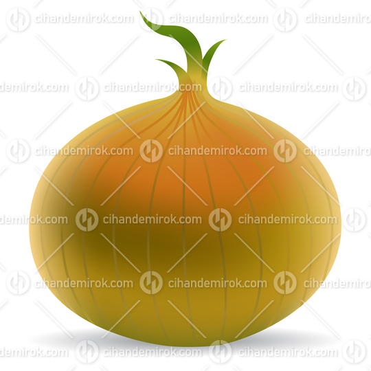 Brown Onion Illustration with Shadow