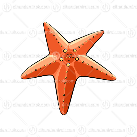 Cartoon Orange Starfish
