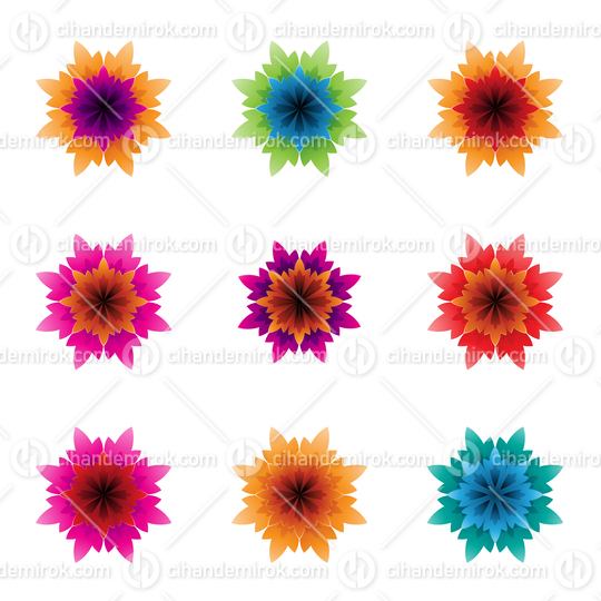 Colorful Bright Flowers with Spiky Petals Vector Illustration