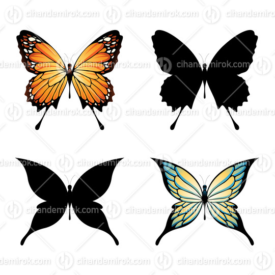 Colorful Butterflies and Butterfly Silhouettes