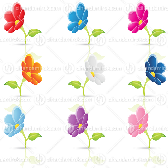 Colourful Cute Flowers and Leaves