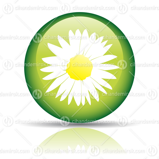 Daisy Flower on a Glossy Green Circle