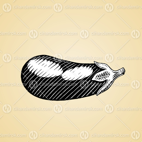 Eggplant, Black and White Scratchboard Engraved Vector
