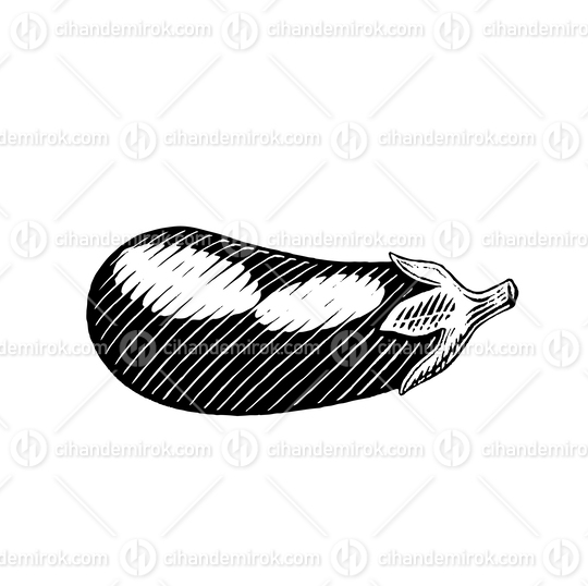 Eggplant, Scratchboard Engraved Vector