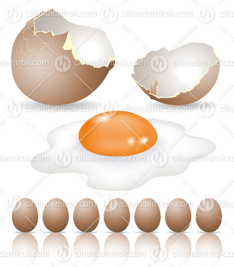 Fried Breakfast Egg with Broken Egg Shells