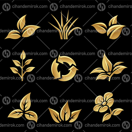 Golden Glossy Leaves on a Black Background