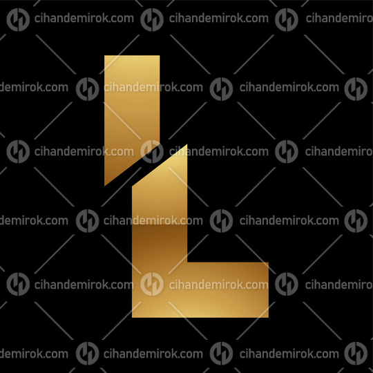 Golden Letter L Symbol on a Black Background - Icon 4