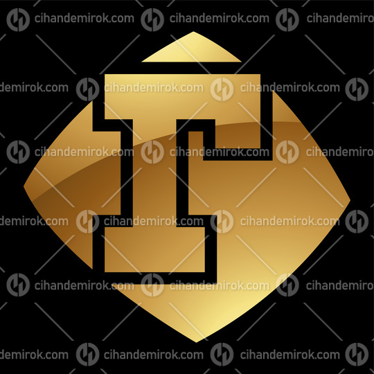 Golden Letter R Symbol on a Black Background - Icon 4
