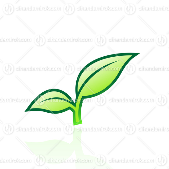 Green Apple Leaves with Outlines