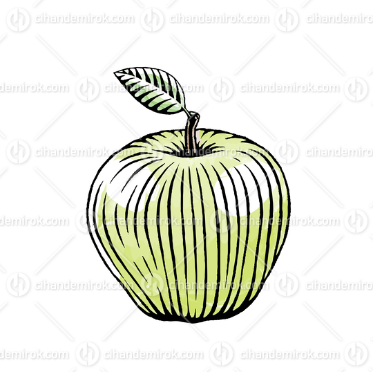 Green Apple, Scratchboard Engraved Vector