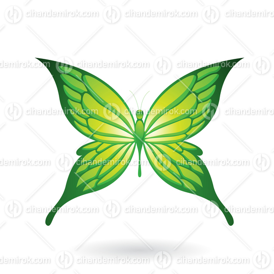 Green Butterfly Illustration with Pointed Wings