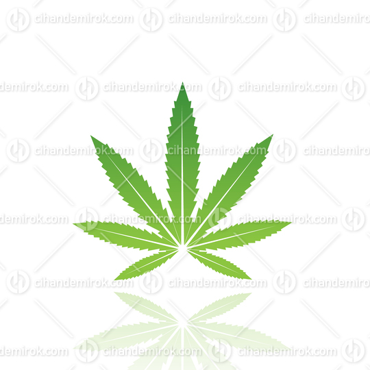 Green Cannabis Leaf with Reflection