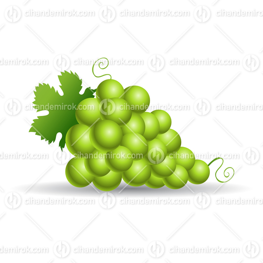 Green Grapes with Leaves Icon
