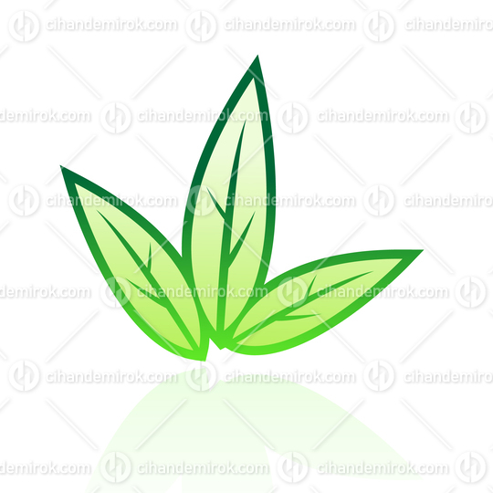 Green Tobacco Leaves with Outlines
