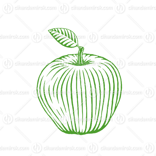 Green Vectorized Ink Sketch of Apple Illustration