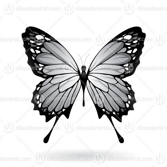 Grey and Black Butterfly Illustration