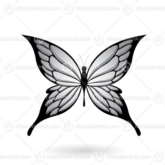 Grey and Black Butterfly Illustration with Pointed Wings