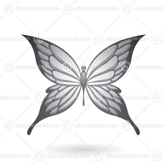 Grey Butterfly Illustration with Pointed Wings