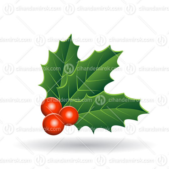 Holly Berries with Stacked Leaves Vector Illustration
