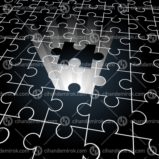 Jigsaw Puzzle: The Missing Piece