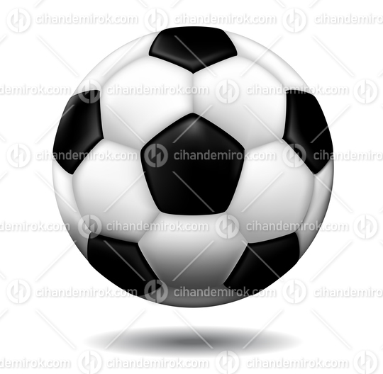 Leather Soccer Ball