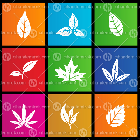 Leaves Icons on Colorful Square Shapes isolated on a White Background