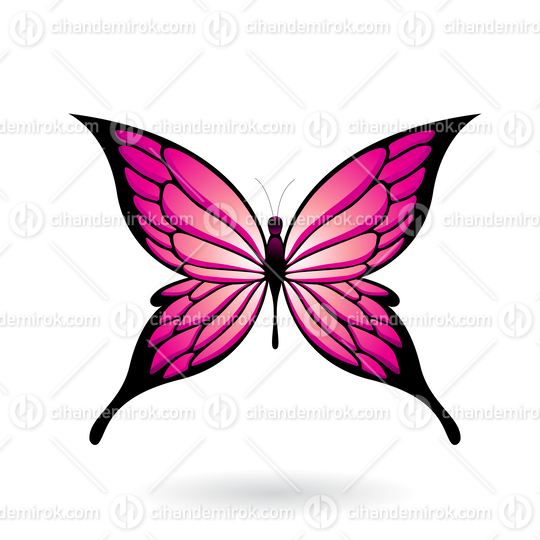 Magenta and Black Butterfly Illustration with Pointed Wings