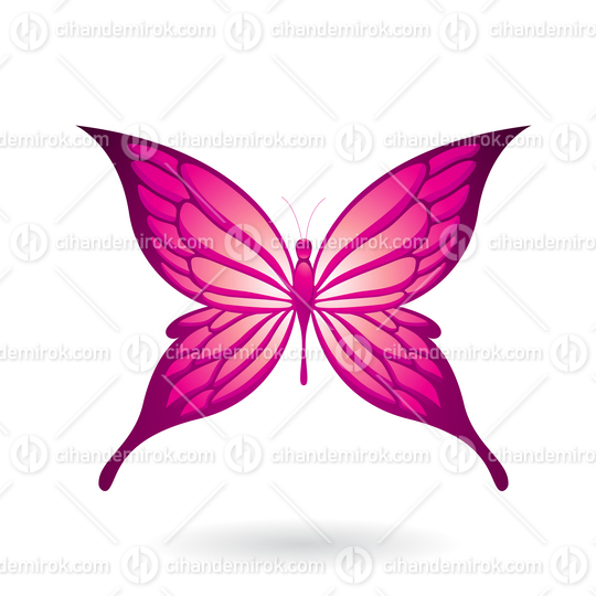 Magenta Butterfly Illustration with Pointed Wings