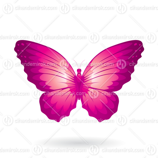 Magenta Butterfly Illustration with Round Wings