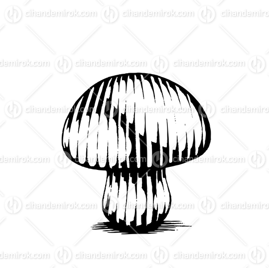 Mushroom, Scratchboard Engraved Vector