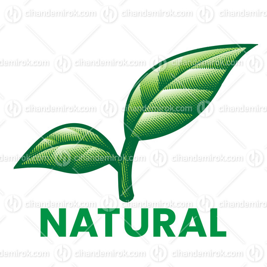 Natural Engraved Icon with Shaded Green Leaves