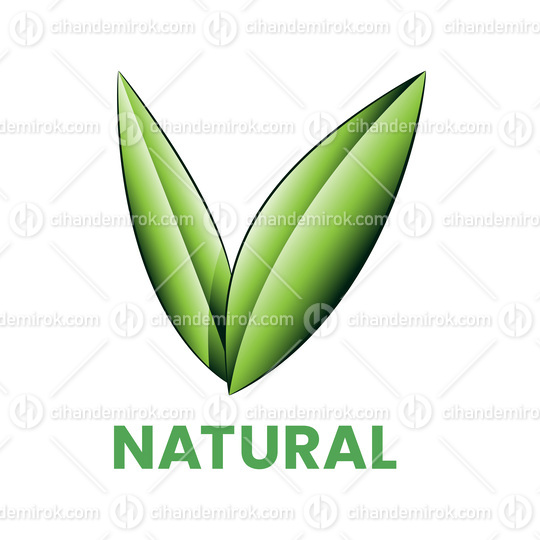Natural Icon with Shaded Green Leaves