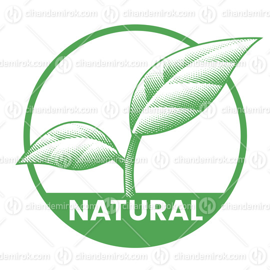 Natural Round Icon with 2 Green Leaves - Icon 10