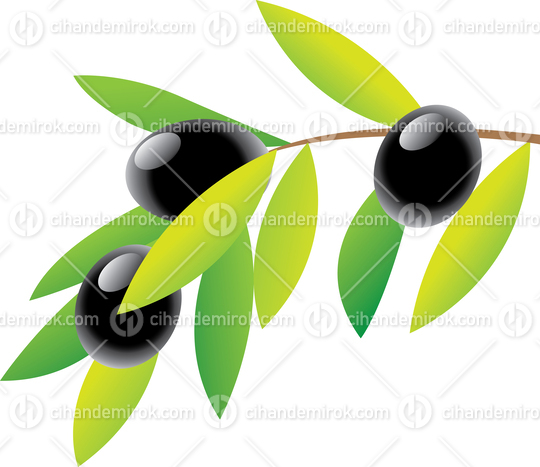 Olive Branch and Green Leaves