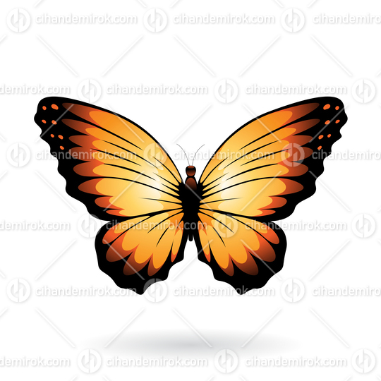 Orange and Black Butterfly Illustration with Round Wings