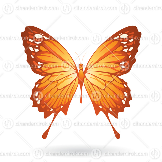 Orange Butterfly Illustration